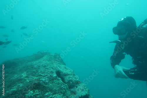 Scuba Diver looking at reef with fishes off the coast of La Herradura in Spain