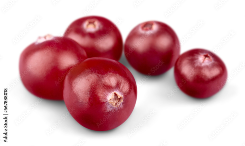 Cranberries Cranberries