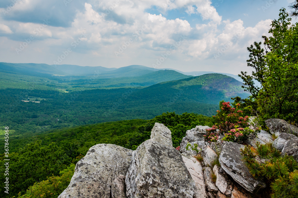 Springtime in the West Virginia Mountains, USA, West Virginia Springtime in the West Virginia Mountains, USA, West Virginia