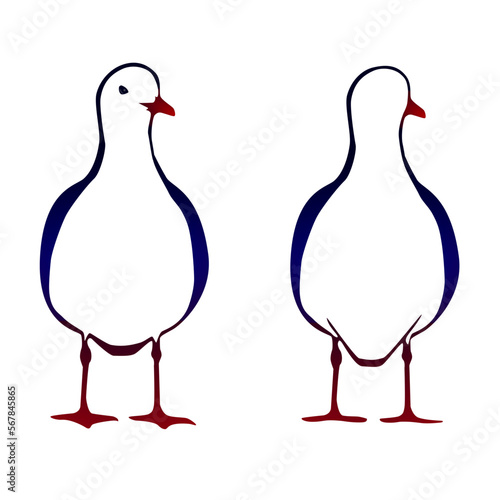 Seagull standing on the ground, front and back view. Simple isolated vector svg illustration.