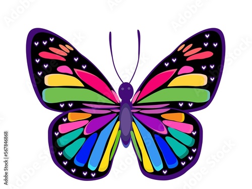 Multicolor butterfly vector illustration with rainbow colours