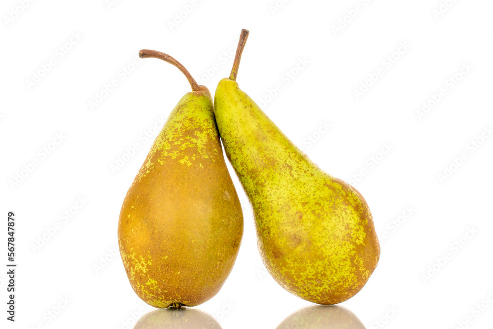 Two sweet conference pears, macro, isolated on white background. Two sweet conference pears, macro, isolated on white background.
