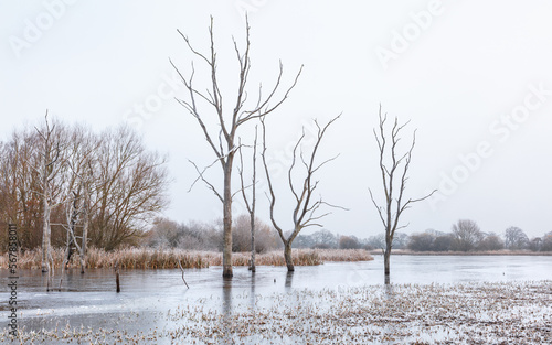 Wallpaper Mural Winter landscape at Arcot Pond, Cramlington, Northumberland, England, UK.   Torontodigital.ca