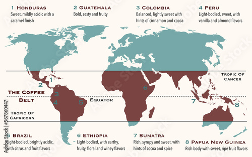 The area of the world, known as coffee belt, which includes the major coffee producing countries © Dimitrios