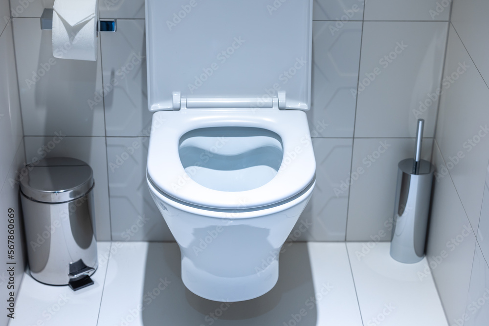 Toilet bowl in a white toilet. Toilet accessories near the toilet