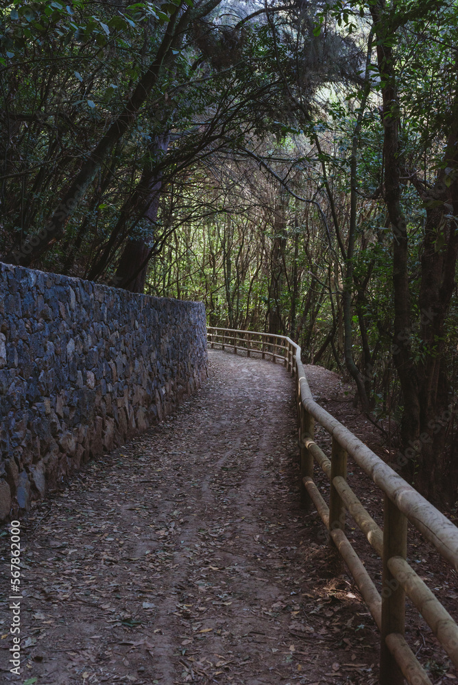 Sitios increíbles donde desconectar en la isla de Tenerife Sitios increíbles donde desconectar en la isla de Tenerife