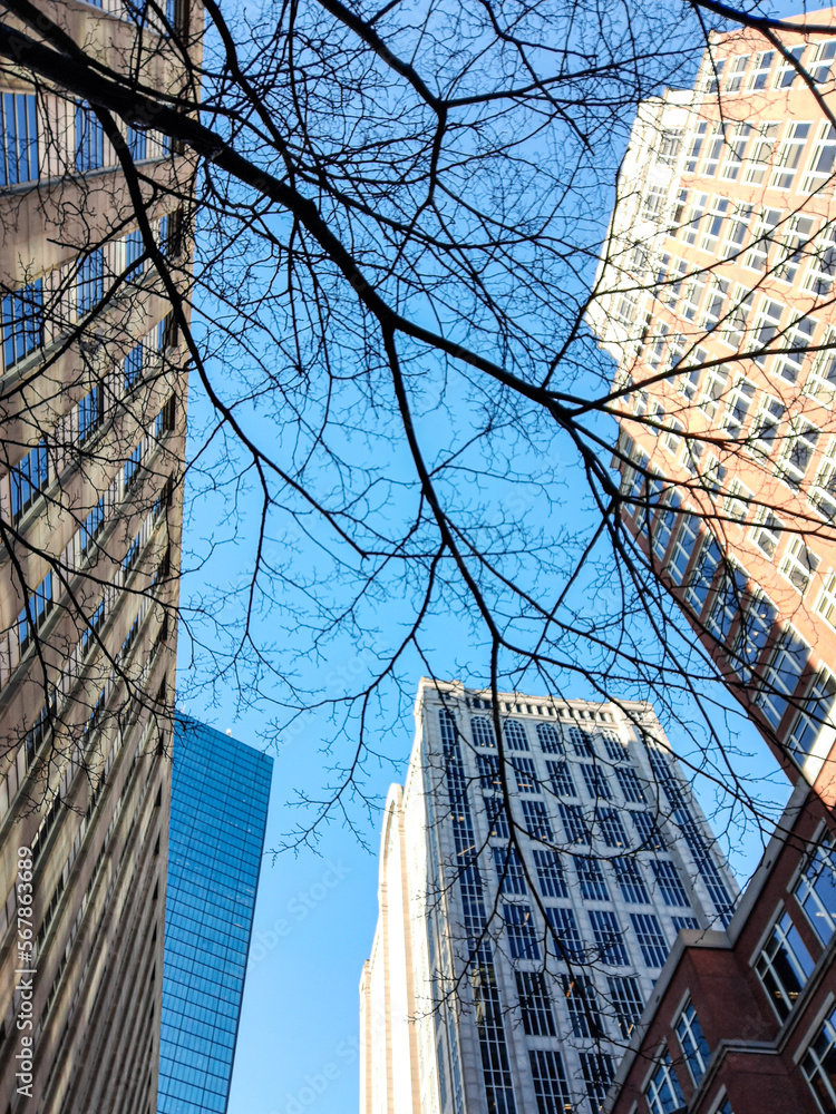 Fototapeta premium city skyscrapers