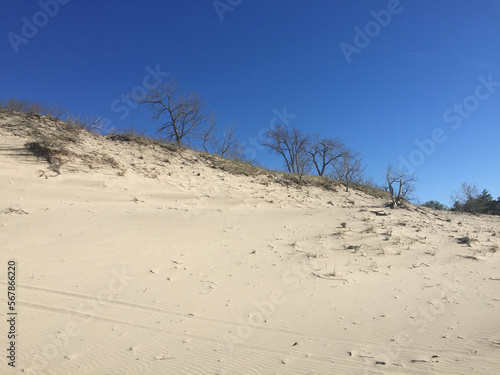 sand dunes (ID: 567866220)