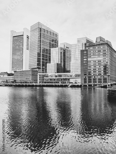 city skyline