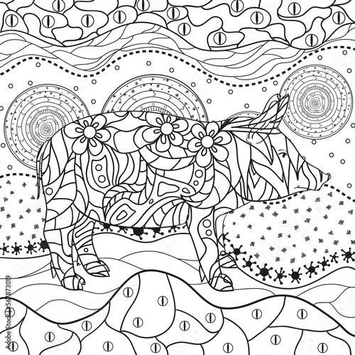Ornate square pattern with pig. Hand drawn waved ornaments on white. Abstract patterns on isolated background. Design for spiritual relaxation for adults. Line art. Black and white illustration