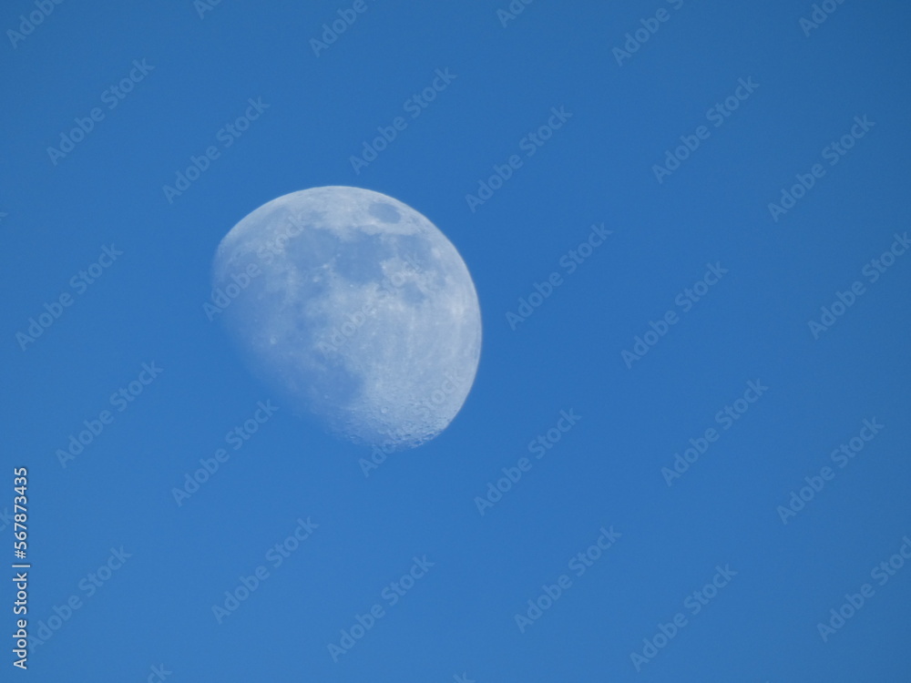 Moon Moon