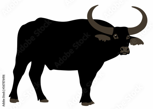 Water buffalo vector illustration 2 colors