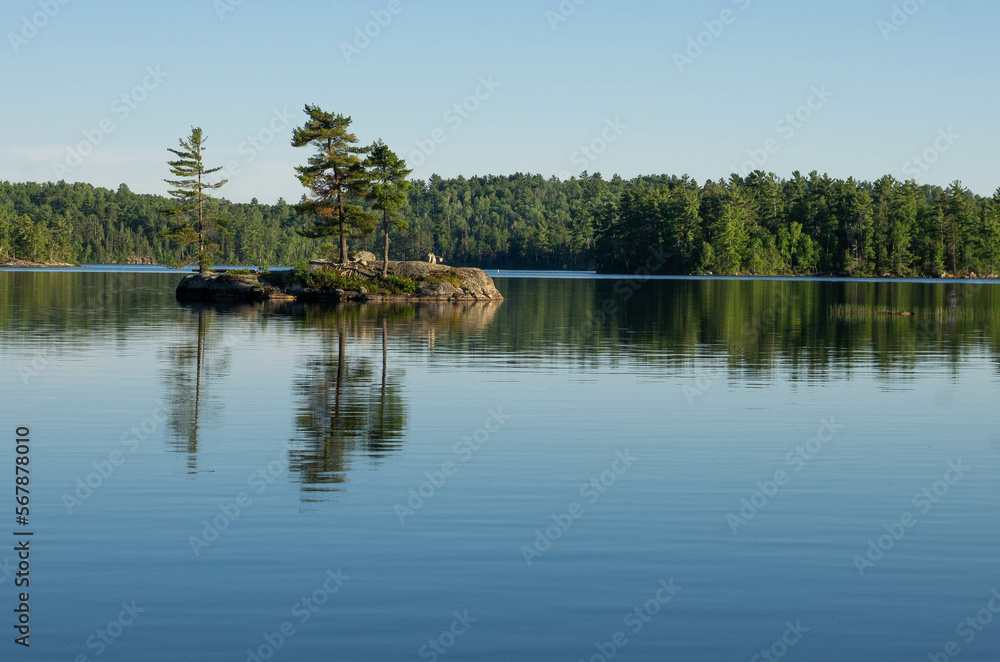 Trees on small island reflected in lake surface