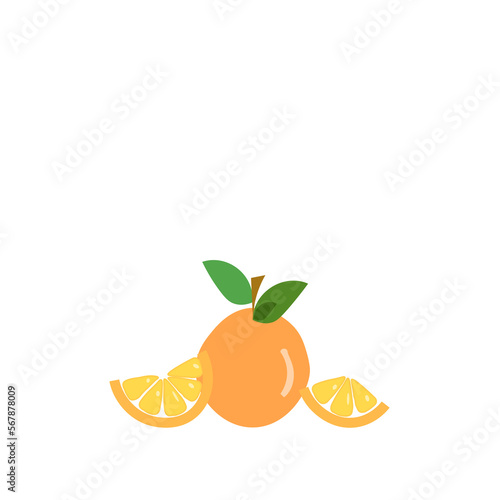 Orange fruit vector illustration isolated on white background. 
