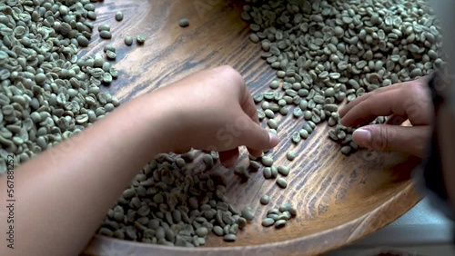 selección a mano de granos de café
