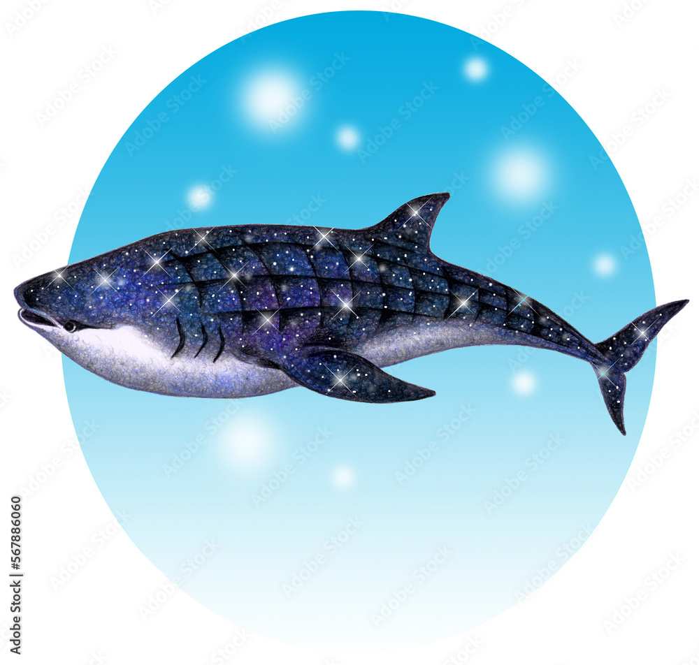 Fototapeta premium 海の生き物・星空模様のジンベイザメ