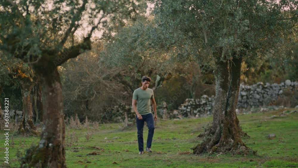Serious farmer walking olive plantation. Calm man checking basket after harvest Serious farmer walking olive plantation. Calm man checking basket after harvest