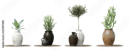 Daytime scene landscape element for 3d Architectural visualization. Outdoor decorative plant isolated on transparent background. 3d rendering illustration. PNG format