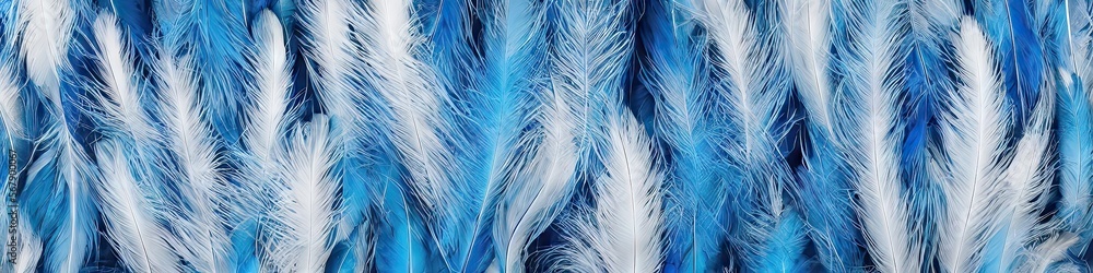 Fototapeta premium Colorful blue feathers - bright and vibrant feathers in a panoramic extra wide banner image by generative AI