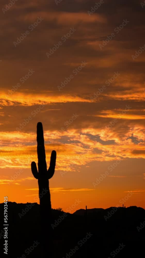 Vertical Video Arizona Desert Sunrise Timelapse Vertical Video Arizona Desert Sunrise Timelapse