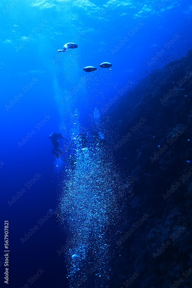 bubbles diving blue abstract underwater background bubbles diving blue abstract underwater background
