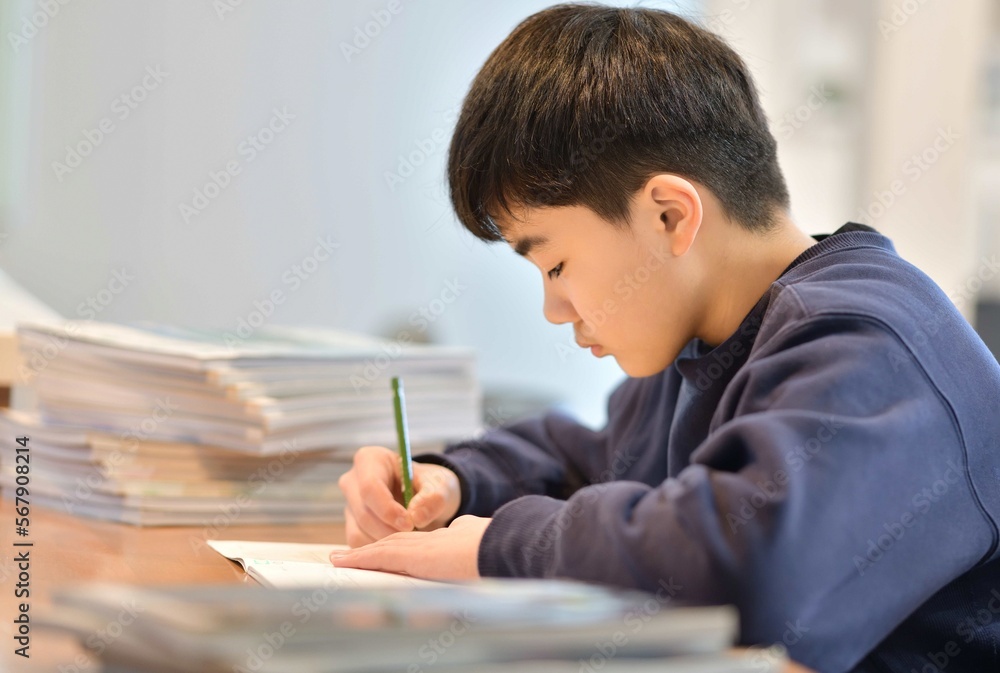 参考書と問題集の勉強に集中する小学5年生