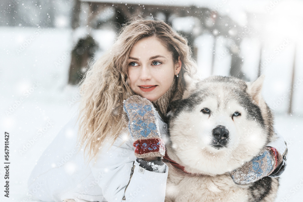 Beautiful girl posing hugging a husky Beautiful girl posing hugging a husky