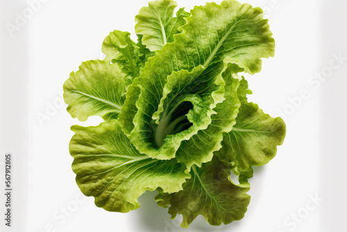 Isolated lettuce leaves on a white background. Salad of Batavia. a top view. Generative AI