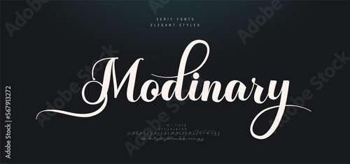Vintage luxury wedding alphabet letters font. Typography elegant classic lettering serif fonts and number decorative logo retro with tails concept. vector illustration