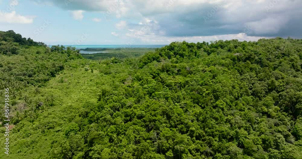 Rainforest and jungle on the coast of a tropical island. Balabac, Palawan. Philippines. Rainforest and jungle on the coast of a tropical island. Balabac, Palawan. Philippines.