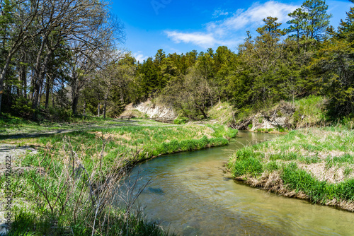 landscape with river and trees