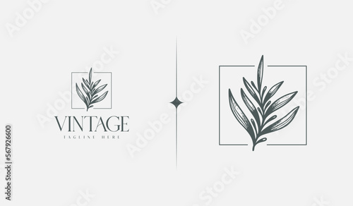 Leaf Flower Tree monoline. Universal creative premium symbol. Vector sign icon logo template. Vector illustration