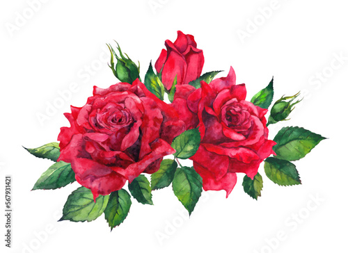 Red roses bouquet. Floral watercolor vector with rose flowers