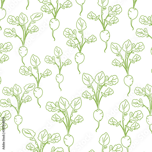 doodle seamless pattern with radish  radish on white with green lines. Vector spring background for a seedling store