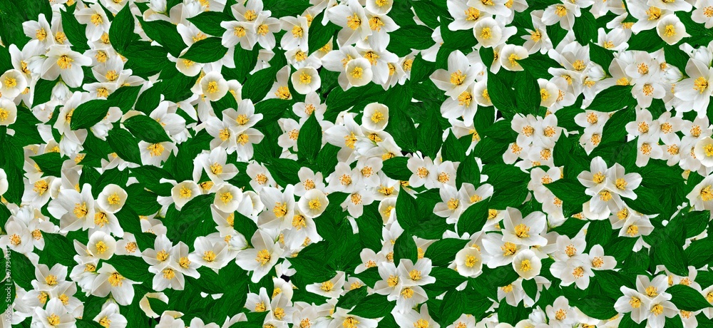 floral abstract with green leafs background floral abstract with green leafs background