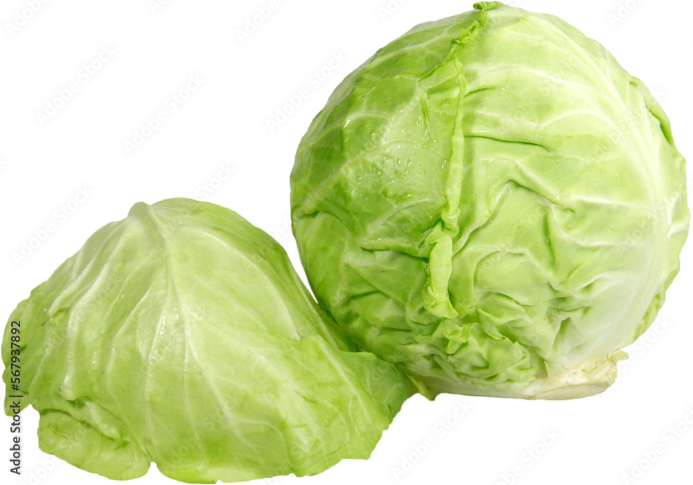 Fototapeta premium Cabbage - isolated image