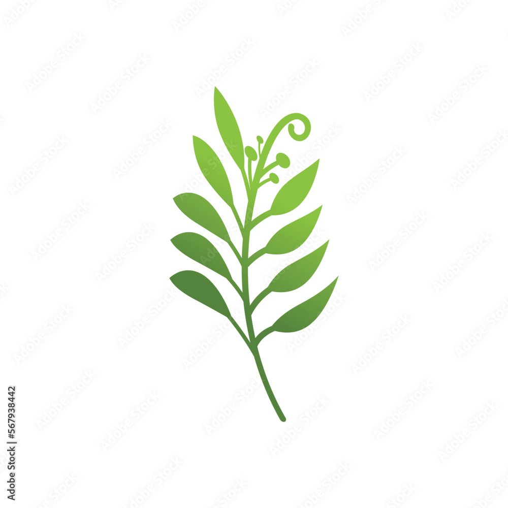 Fototapeta premium Green leaves Botanical logo vector and symbol design
