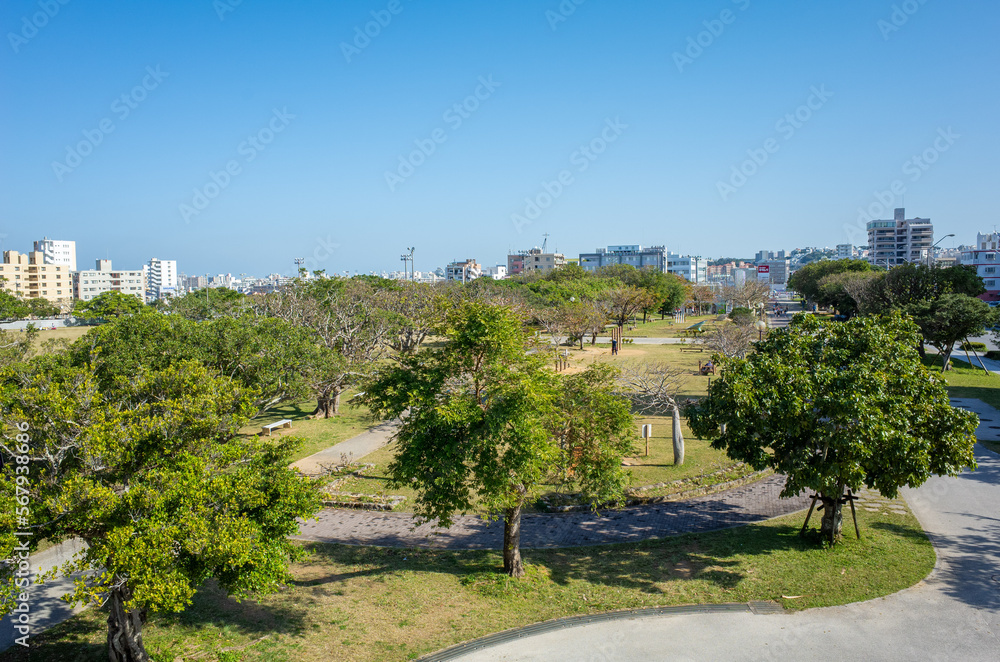 Fototapeta premium 沖縄ゆいレールとおもろまち駅