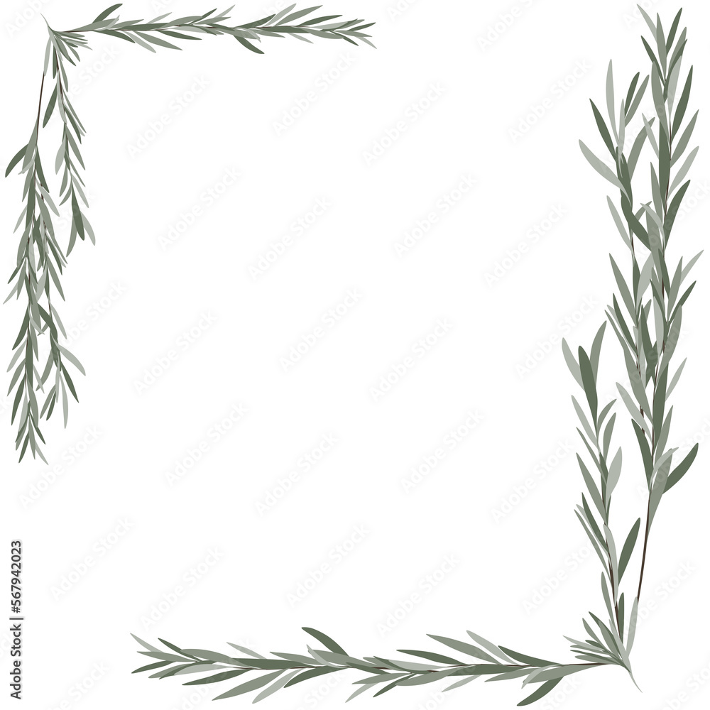 Frame with dry branches of leaves on PNG White transparent background Cover. Stock vector illustration 02 Frame with dry branches of leaves on PNG White transparent background Cover. Stock vector illustration 02