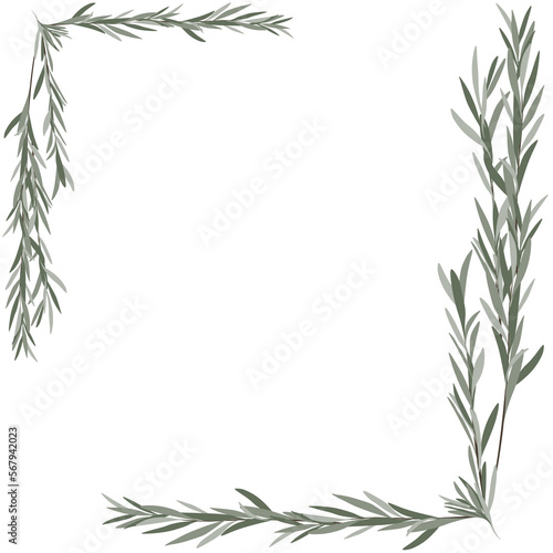 Frame with dry branches of leaves on PNG White transparent background Cover. Stock vector illustration 02