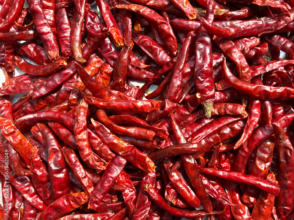 Peppers Collection Red Hot Peppers, Closeup Peppers Collection Red Hot Peppers, Closeup