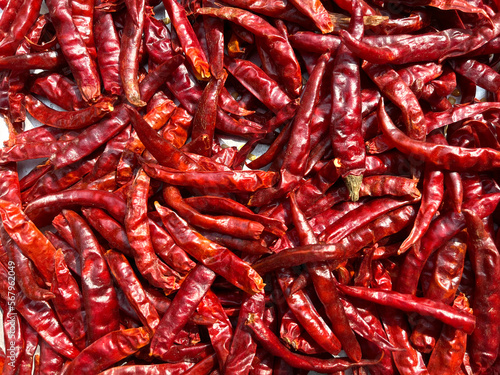 Peppers Collection Red Hot Peppers, Closeup