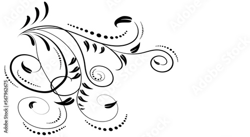 Calligrafic flourishes on white background. photo