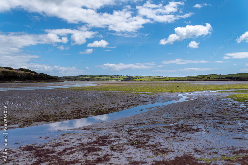 Open seabed after low tide, swamp. Green hilly landscape. White cumulus clouds in a blue sky. Irish landscape. The coast of Clonakilty Bay, County Cork.