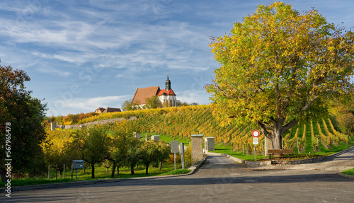 Maria im Weingarten und Weinberge bei Volkach, Unterfanken, Bayern, Deutschland © dina
