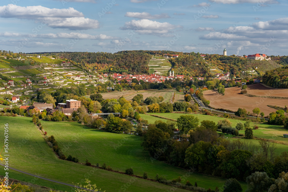 Naklejka premium Blick vom Weinort Zscheiplitz auf die historische Weinbergstadt Freyburg/Unstrut mit der Neuenburg, Burgenlandkreis, Sachsen-Anhalt, Deutschland