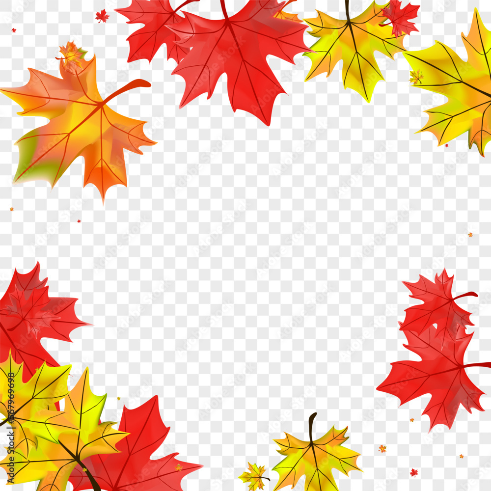 Autumnal Leaf Background Transparent Vector. Floral November Texture. Orange Nature Foliage. Flying Plant Card.
