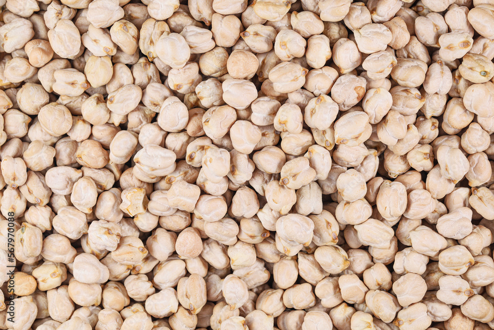 Chick pea (Bengal gram, Garbanzo, Garbanzo bean, Egyptian pea) Chick pea (Bengal gram, Garbanzo, Garbanzo bean, Egyptian pea)