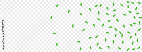 Greenish Sheet Background Transparent Vector. Vegetation Icon Frame. Element Texture. Light Green Environmental Card. Leaves Blend.