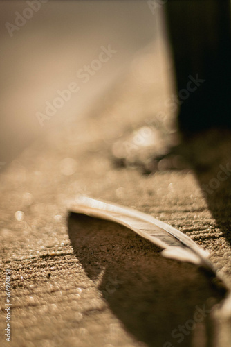 Feather on Concrete